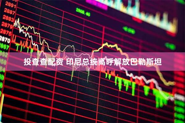 投查查配资 印尼总统高呼解放巴勒斯坦